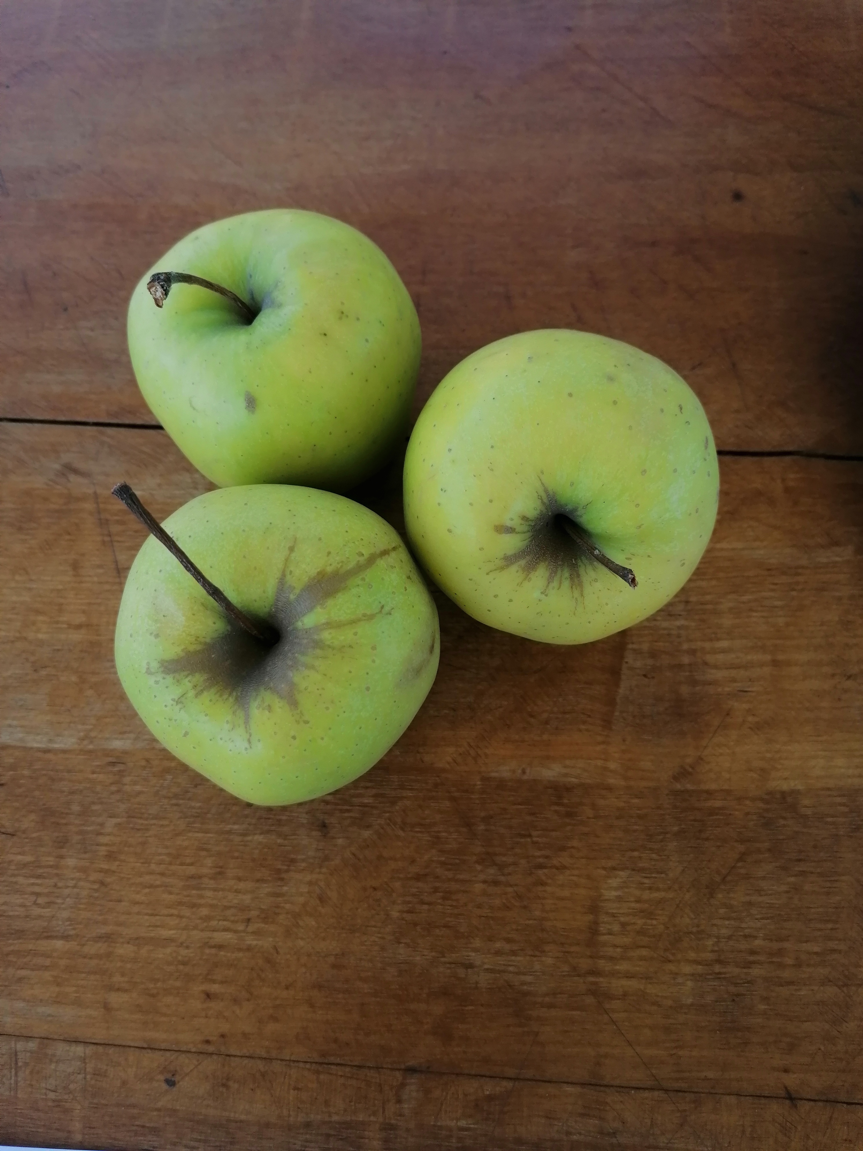Golden Delicious Reinders almafa